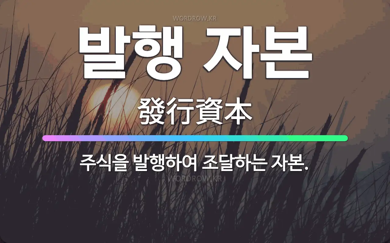 🌟발행 자본: 주식을 발행하여 조달하는 자본. - 표준국어대사전