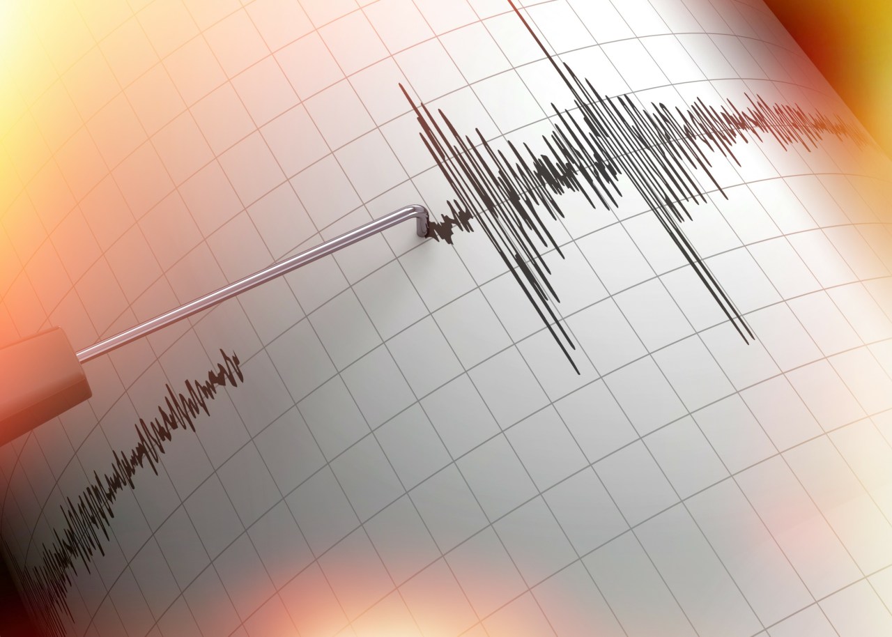 What Can We Learn From Past Earthquakes About Future Shaking?