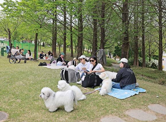 임실 펫투어에서 반려견과 함께 야외에 머무는 참가자들