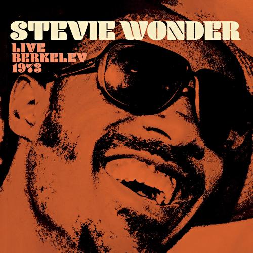 stevie wonder