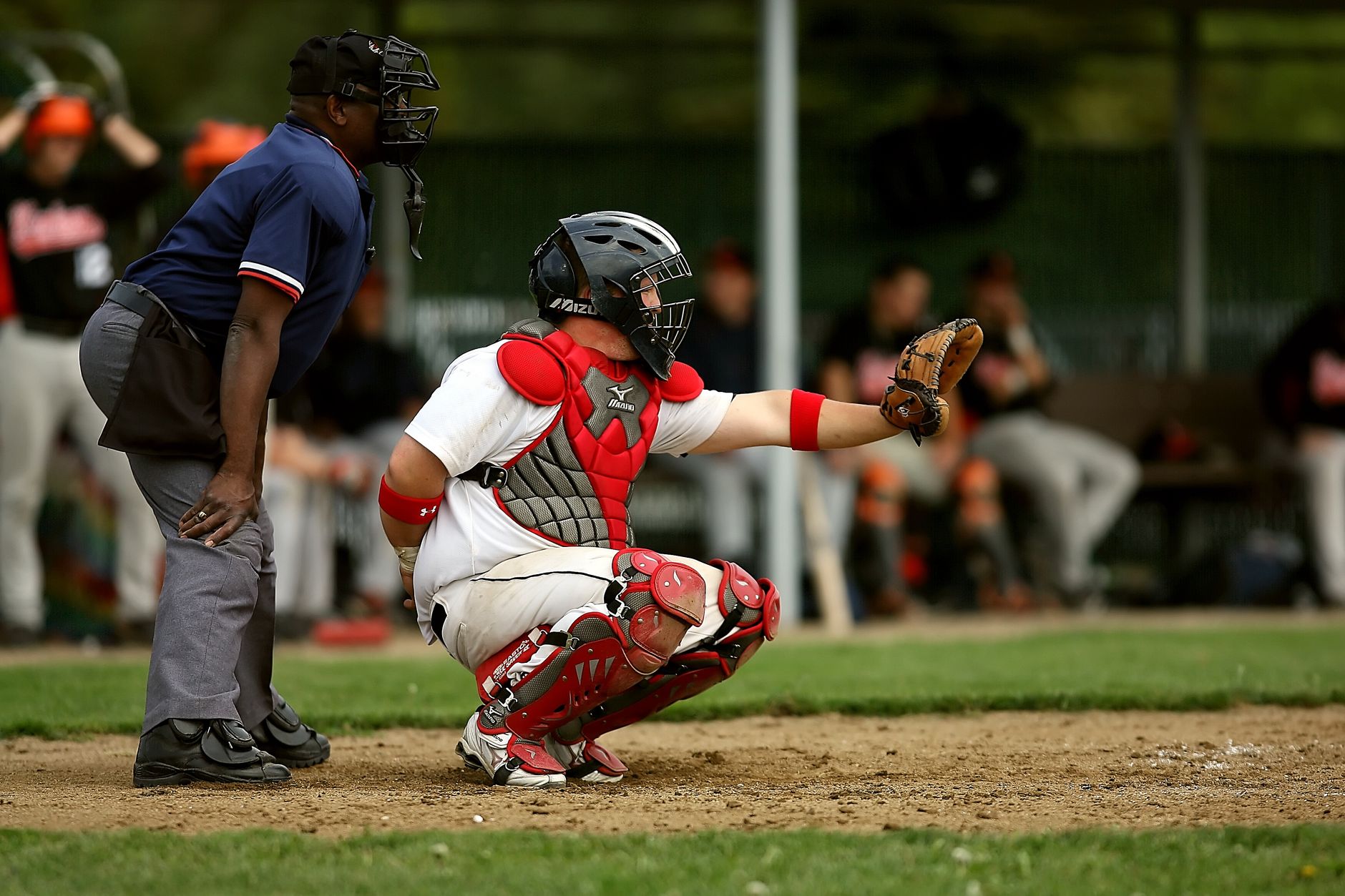 Guardians' Loss Stirs Wild Card Race Drama on Labor Day