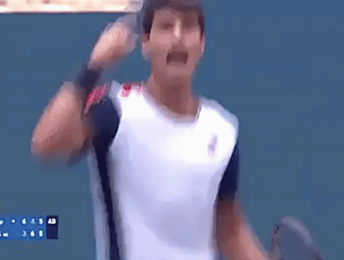 Carlos Alcaraz Moves Closer to US Open Semifinals